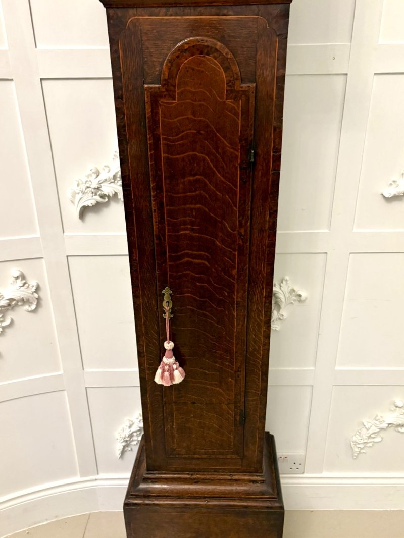 Outstanding Quality Antique George III Oak and Burr Oak Brass Face Longcase Clock - Image 11